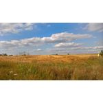 Zdjęcia użytkowników Microsoft Lumia 550