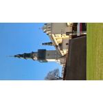 Zdjęcia użytkowników Microsoft Lumia 550