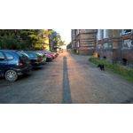 Zdjęcia użytkowników Microsoft Lumia 640 XL LTE