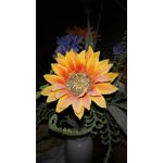 Zdjęcia użytkowników Microsoft Lumia 640 XL