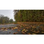 Zdjęcia użytkowników Microsoft Lumia 650 Dual SIM