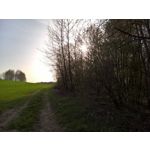Zdjęcia użytkowników Microsoft Lumia 950 XL