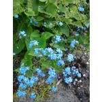 ZDJĘCIA Z TEGO TELEFONU