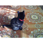 ZDJĘCIA Z TEGO TELEFONU