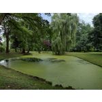 Zdjęcia użytkowników Motorola Defy 2021