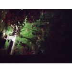 Zdjęcia użytkowników Motorola Defy 2021