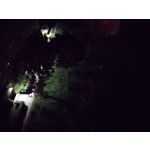 Zdjęcia użytkowników Motorola Defy 2021