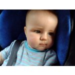 Zdjęcia użytkowników Motorola Defy 2021