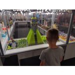 Zdjęcia użytkowników Motorola Defy 2021