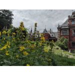 Zdjęcia użytkowników Motorola Defy 2021