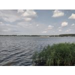 Zdjęcia użytkowników Motorola Defy 2021