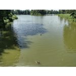 Zdjęcia użytkowników Motorola Defy 2021