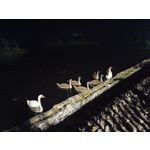 Zdjęcia użytkowników Motorola Edge 20 Lite