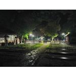 Zdjęcia użytkowników Motorola Edge 20 Lite