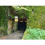 Zdjęcia użytkowników Motorola Edge 20 Lite