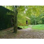 Zdjęcia użytkowników Motorola Edge 20 Lite