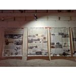 Zdjęcia użytkowników Motorola Edge 20 Lite