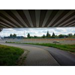 Zdjęcia użytkowników Motorola Edge 20 Lite