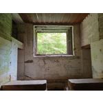 Zdjęcia użytkowników Motorola Edge 20 Lite