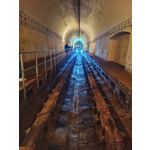 Zdjęcia użytkowników Motorola Edge 20 Lite