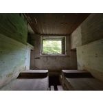 Zdjęcia użytkowników Motorola Edge 20 Lite