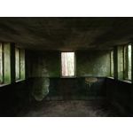 Zdjęcia użytkowników Motorola Edge 20 Lite