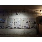 Zdjęcia użytkowników Motorola Edge 20 Lite