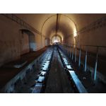 Zdjęcia użytkowników Motorola Edge 20 Lite