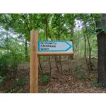 Zdjęcia użytkowników Motorola Edge 20 Lite