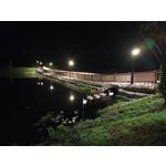 Zdjęcia użytkowników Motorola Edge 20 Lite