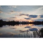 Zdjęcia użytkowników Motorola Edge 20 Pro
