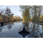 Zdjęcia użytkowników Motorola Edge 30 Ultra Dual SIM