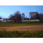 Zdjęcia użytkowników Motorola Edge 30 Ultra