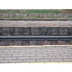 Zdjęcia użytkowników Motorola Edge 30 Ultra