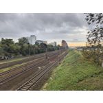 Zdjęcia użytkowników Motorola Edge 40 Neo Dual SIM