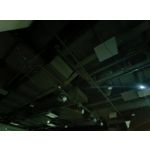 Zdjęcia użytkowników Motorola Edge 40 Neo Dual SIM