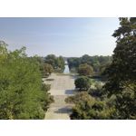 Zdjęcia użytkowników Motorola Edge 40 Neo Dual SIM