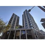 Zdjęcia użytkowników Motorola Edge 40 Neo Dual SIM