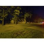 Zdjęcia użytkowników Motorola Edge 40 Neo Dual SIM