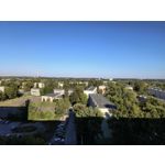 Zdjęcia użytkowników Motorola Edge 40 Neo Dual SIM