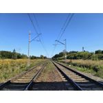 Zdjęcia użytkowników Motorola Edge 40 Neo Dual SIM