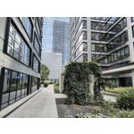 Zdjęcia użytkowników Motorola Edge 40 Neo Dual SIM