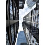 Zdjęcia użytkowników Motorola Edge 40 Neo Dual SIM