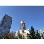 Zdjęcia użytkowników Motorola Edge 40 Neo Dual SIM