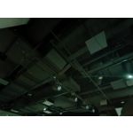 Zdjęcia użytkowników Motorola Edge 40 Neo Dual SIM