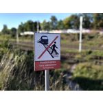 Zdjęcia użytkowników Motorola Edge 40 Neo Dual SIM