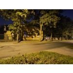 Zdjęcia użytkowników Motorola Edge 40 Neo Dual SIM