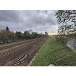 Zdjęcia użytkowników Motorola Edge 40 Neo Dual SIM