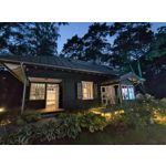 Zdjęcia użytkowników Motorola Edge 40 Neo Dual SIM