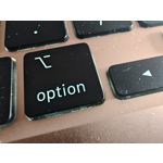 Zdjęcia użytkowników Motorola Edge 40 Pro